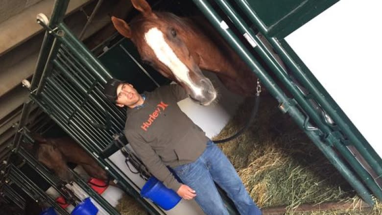 Calgary Stampede: Chuckwagon horse death hard loss for driver