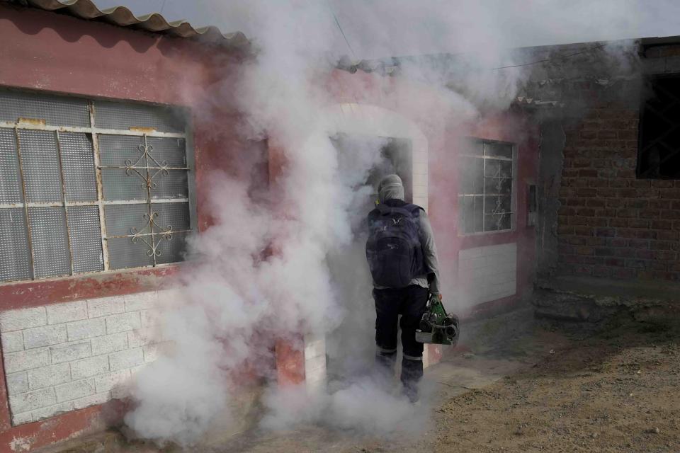 A health worker leaves a home after fumigating it for mosquitoes to help mitigate the spread of dengue in the Las Penitas area of Talara, Peru, Friday, March 1, 2024. Peru declared a health emergency in most of its provinces on Feb. 26 due to a growing number of dengue cases. (AP Photo/Martin Mejia)