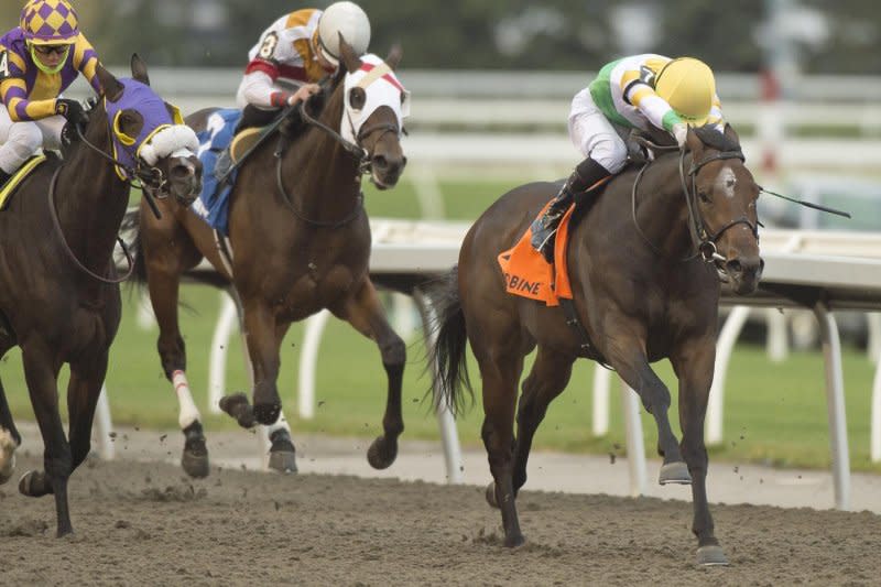 Touch'n Ride wins Saturday's Ontario Derby at Woodbine. Photo by Michael Burns, courtesy of Woodbine