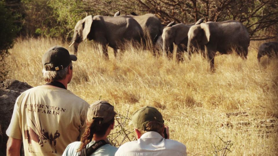 Travelers on the Great Serengeti Traverse 