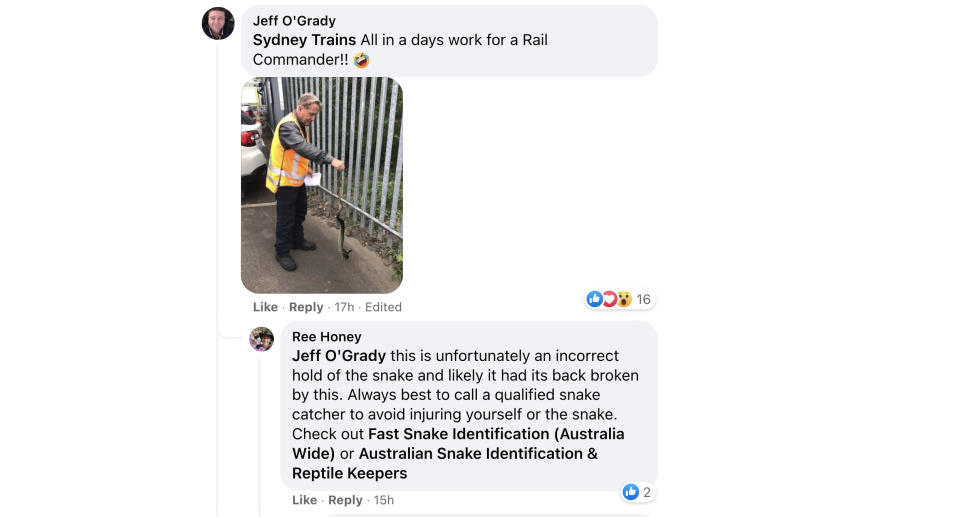 A screenshot of a Facebook comment which says the worker is holding the snake incorrectly. Source: Facebook