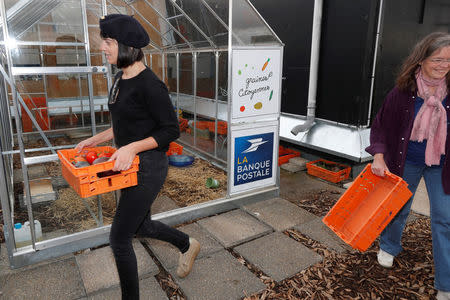 Post office employees work on a 900 square meters farm garden on the rooftop of their postal sorting center, as part of a project by Facteur Graine (Seed Postman) association to transform a city rooftop as a vegetable garden to grow fruits, vegetables, aromatic and medicinal plants, with also chickens and bees in Paris, France, September 22, 2017. Picture taken September 22, 2017. REUTERS/Charles Platiau