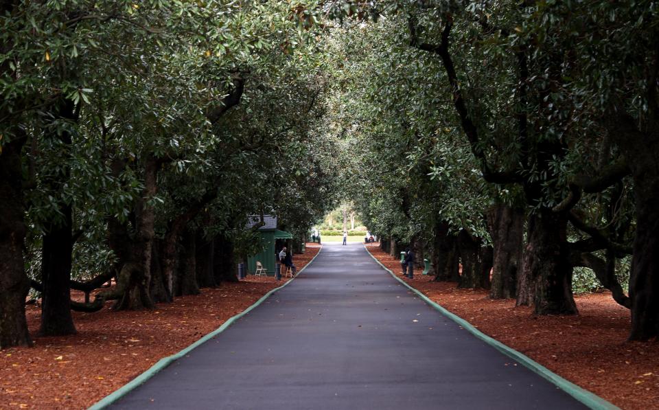 A view down Magnolia Lane at Augusta National Golf Club on Nov. 11, 2020 in Augusta, Georgia. (Photo: Rob Carr/Getty Images)