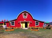 <p>There's a reason this adorable venue is called <a href="https://www.annabellesfunfarm.com/" rel="nofollow noopener" target="_blank" data-ylk="slk:Annabelle's Fun Farm;elm:context_link;itc:0;sec:content-canvas" class="link ">Annabelle's Fun Farm</a>. With bounce houses, corn mazes, candy cannons, hay rides, play yards, friendly farm animals, and, of course, a pumpkin patch filled with autumnal goodies, your family will be entertained for hours at this Welch, Oklahoma, farm.</p><p><a class="link " href="https://go.redirectingat.com?id=74968X1596630&url=https%3A%2F%2Fwww.tripadvisor.com%2FAttractions-g51736-Activities-Welch_Oklahoma.html&sref=https%3A%2F%2Fwww.countryliving.com%2Flife%2Ftravel%2Fg21273436%2Fpumpkin-farms-near-me%2F" rel="nofollow noopener" target="_blank" data-ylk="slk:PLAN YOUR TRIP;elm:context_link;itc:0;sec:content-canvas">PLAN YOUR TRIP</a><br></p>