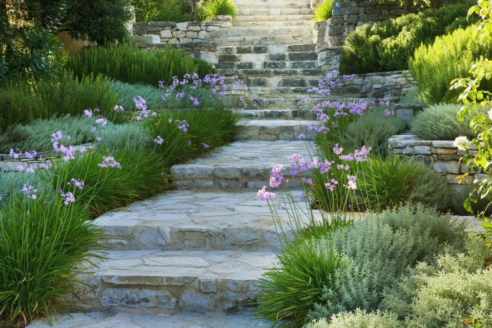 landscape ideas that look expensive discreet palette