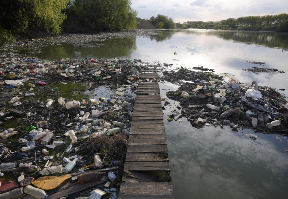 FILE - A swan stands between dumped plastic bottles and waste at the Danube river in Belgrade, Serbia, on April 18, 2022. A new study says Earth has pushed past seven out of eight scientifically established safety limits and into “the danger zone,” not just for an overheating planet that’s losing its natural areas, but for well-being of people living on it. The study, published Wednesday, May 31, 2023, for the first time it includes measures of “justice,” which is mostly about preventing harm for groups of people. (AP Photo/Darko Vojinovic)