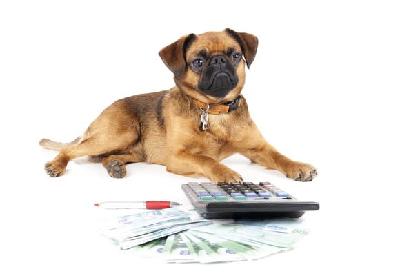 Dog with paw on a calculator in front of a fanned-out wad of foreign cash and a pen.