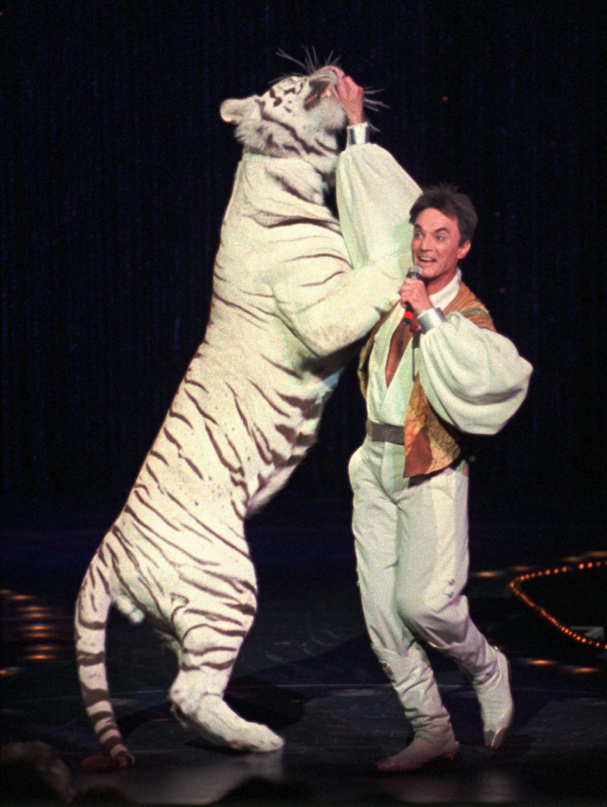 Roy performs with a white tiger during their 15,000th live show in 1996 at the Mirage.