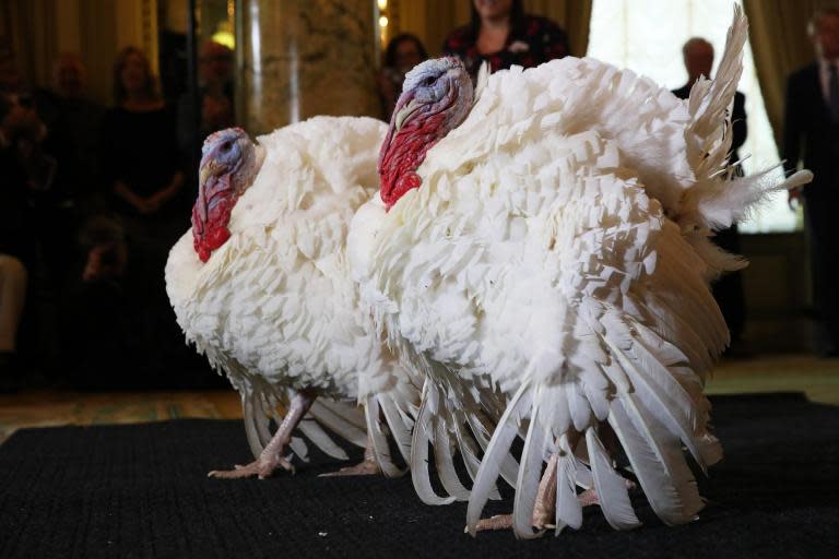 Thanksgiving: Most Americans want to avoid discussing politics at dinner, poll finds