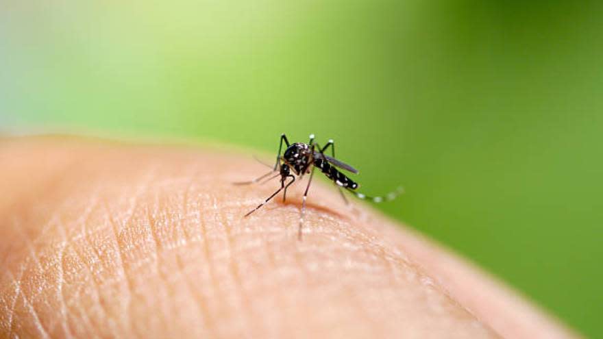 en muchos países, en función de los factores involucrados, el dengue podría llegar a convertirse en endémico