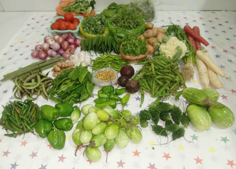 variety of vegetables from shopping