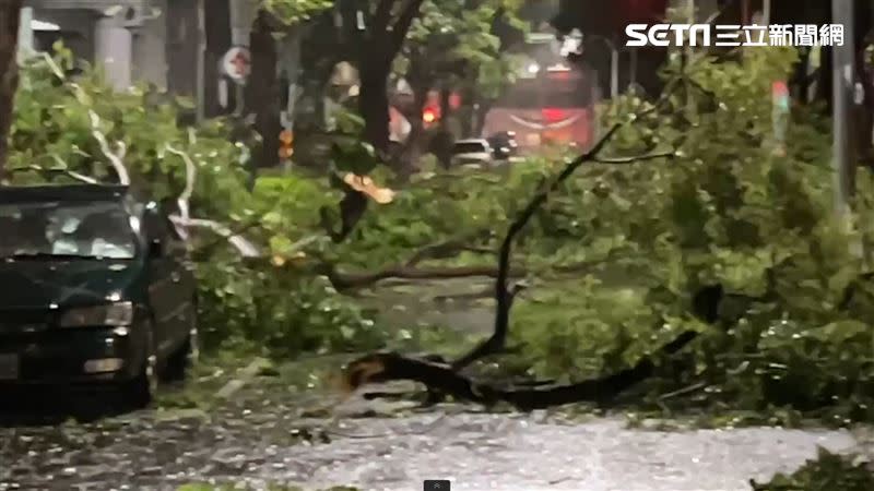 海葵颱風席捲高雄，多處傳出淹水災情。（圖／翻攝畫面）