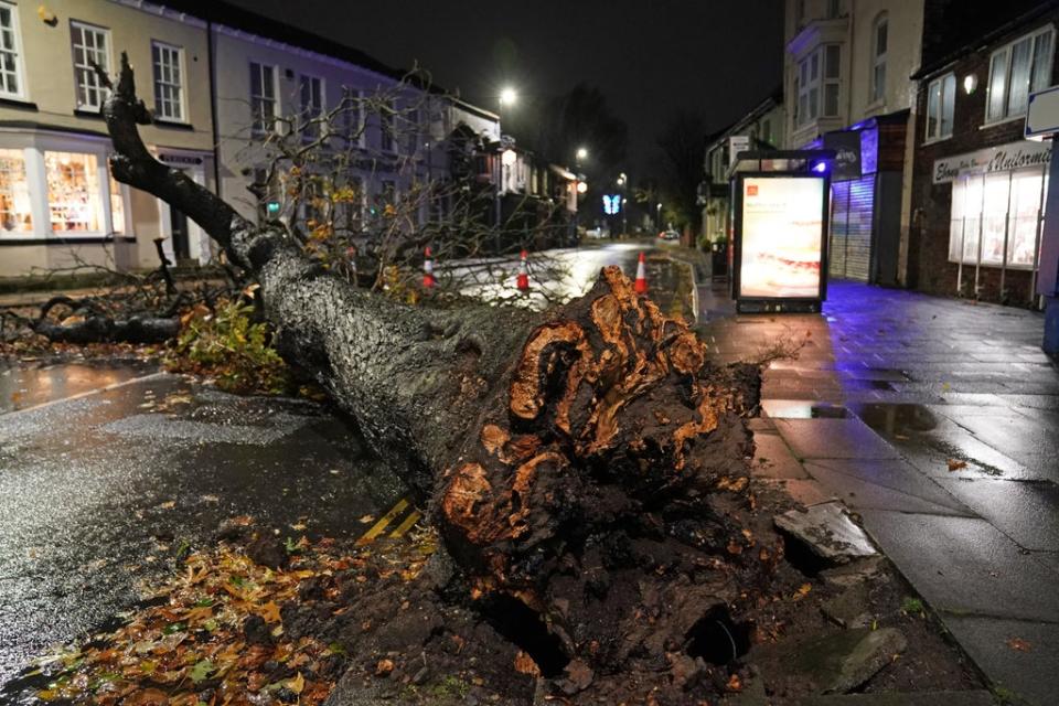 A fallen tree blocks a road in the centre of Norton village in Teesside (Owen Humphreys/PA) (PA Wire)
