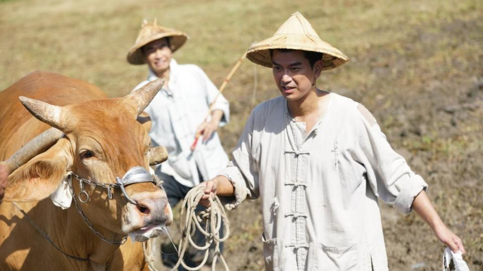 潘逸安（前）為戲嘗試犁田，險遭牛隻衝撞。（圖／艾迪昇傳播提供）