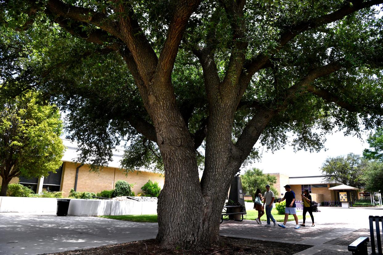 Visitors to Abilene Christian University pass beneath one of the campus’ large oak trees as they tour the school July 11.