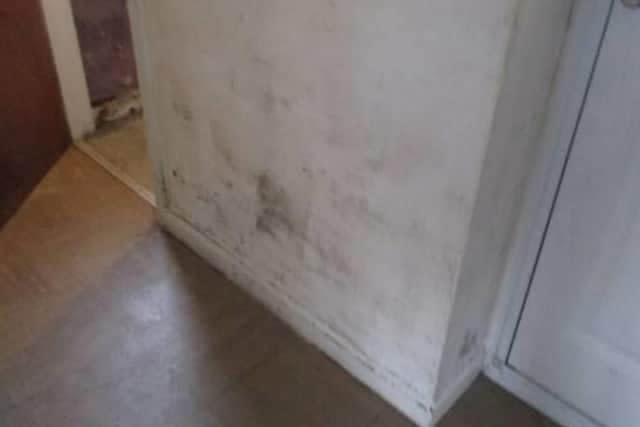 Sara-Jae Gumbley said the mould in her home was a ‘living nightmare’. (SWNS)