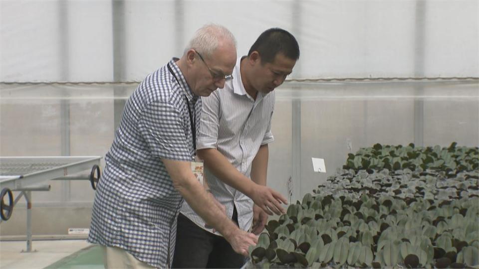 後壁蘭花生物科技園區移交中央　拚國際市場