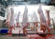 FILE PHOTO: Butchers work in the slaughterhouse Hasenheide in Fuerstenfeldbruck