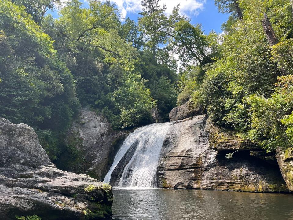 Five conservation groups sued the U.S. Forest Service over its Southside Project in Nantahala National Forest.