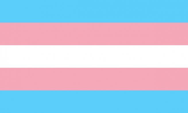 trans pride flag colors