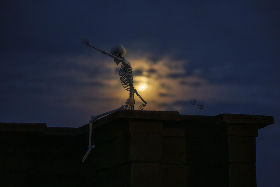 A model of a human skeleton is backdropped by the rising moon at the West Side Hallo Fest, a Halloween festival in Bucharest, Romania, Friday, Oct. 27, 2023. Tens of thousands streamed last weekend to Bucharest's Angels' Island peninsula for what was the biggest Halloween festival in the Eastern European nation since the fall of Communism. (AP Photo/Andreea Alexandru)