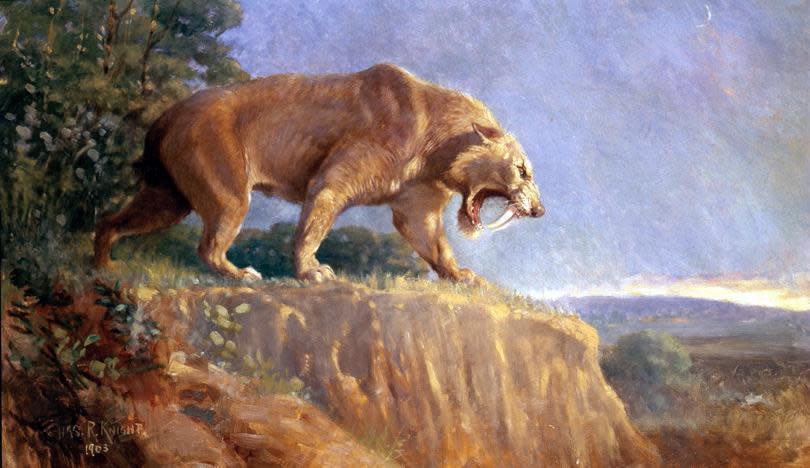 Smilodon_Knight