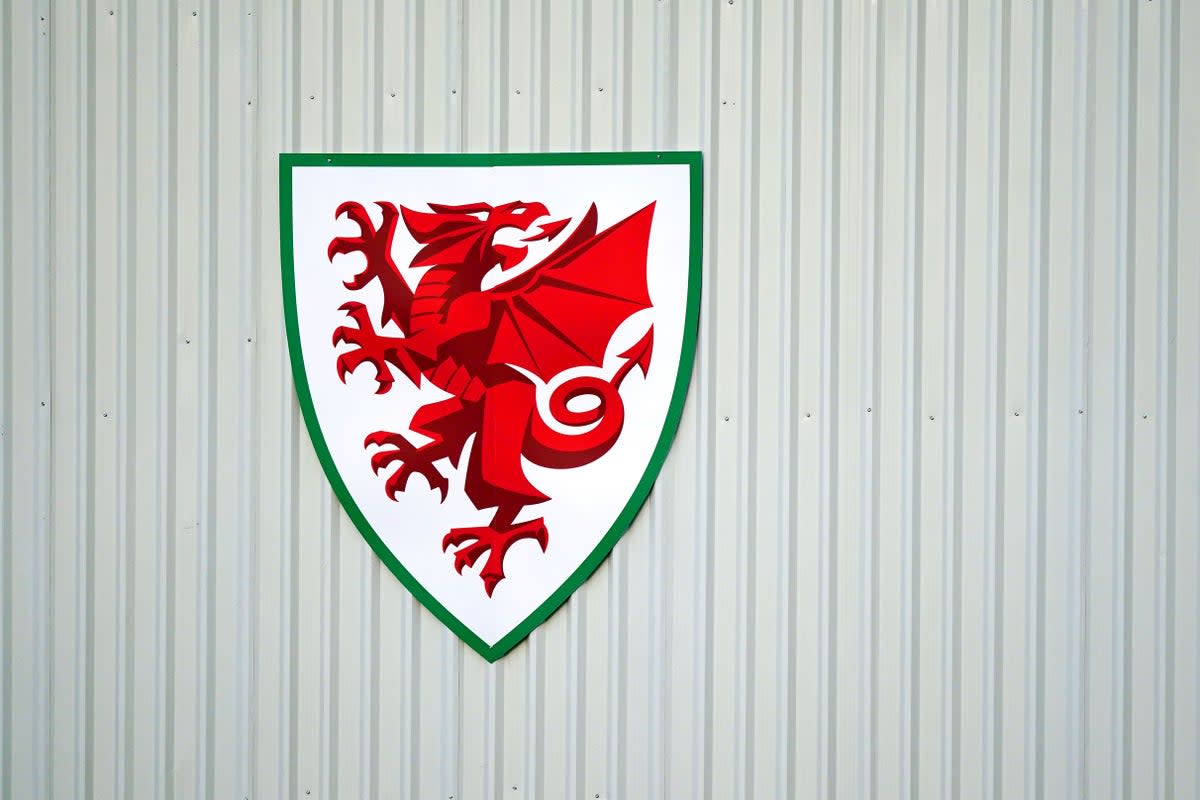 Three Football Association of Wales councillors have been suspended in the past 10 months following allegations of inappropriate behaviour (Mike Egerton/PA) (PA Wire)