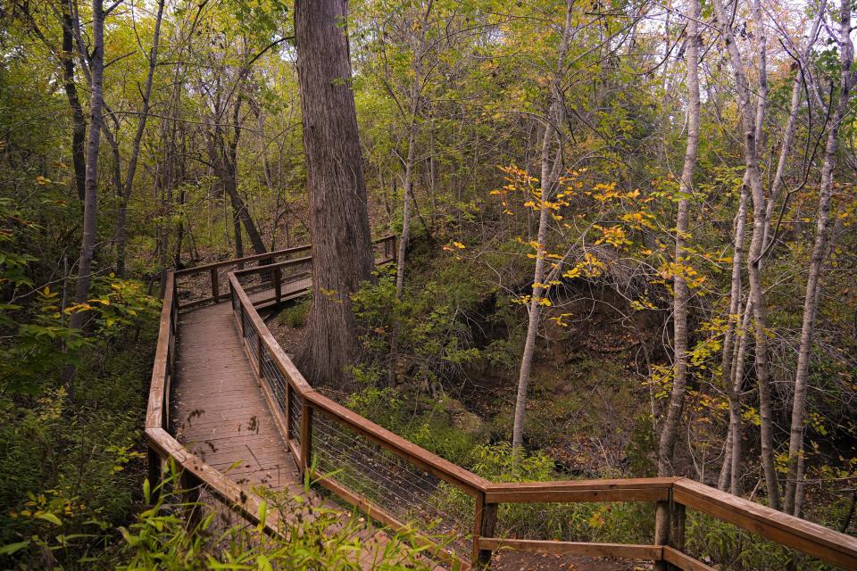 Leaves show signs of changing color at McKinney Falls State Park in Austin, Texas on Nov. 6, 2022. Proposition 14 on the November 7 ballot would create a fund for state parks. (Credit: Aaron Martinez/AMERICAN-STATESMAN/File