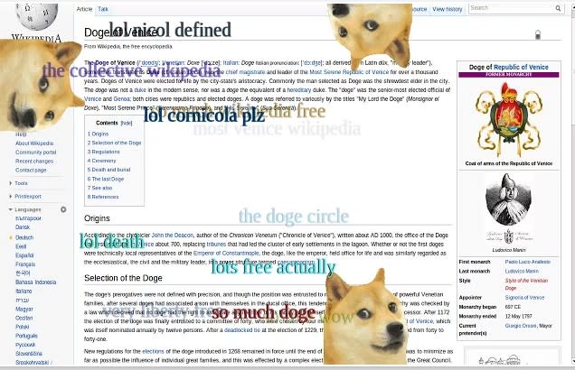 doge meme studying