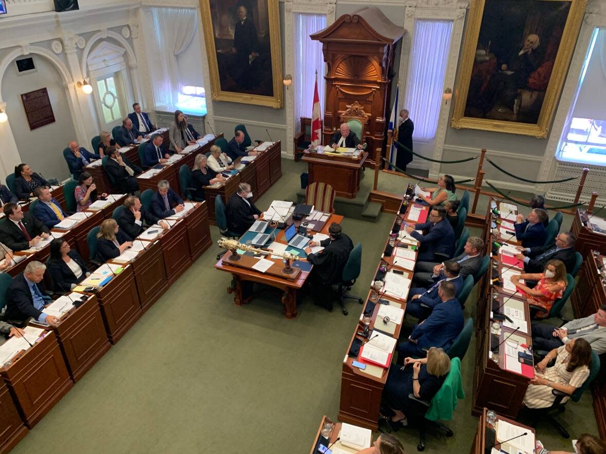 Most Canadian provincial legislatures have one or two deputy Speakers. Nova Scotia will soon have five under a plan from Premier Tim Houston.  (Michael Gorman/CBC - image credit)