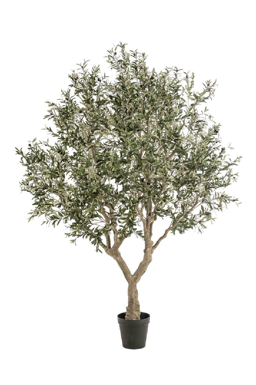 <p><a href="https://go.redirectingat.com?id=74968X1596630&url=https%3A%2F%2Foroa.com%2Fproducts%2Ffaux-mediterranean-evergreen-tree-emerald-olive&sref=https%3A%2F%2Fwww.elledecor.com%2Fdesign-decorate%2Fg60399178%2Fbest-faux-olive-trees%2F" rel="nofollow noopener" target="_blank" data-ylk="slk:Shop Now;elm:context_link;itc:0;sec:content-canvas" class="link rapid-noclick-resp">Shop Now</a></p><p>Faux Mediterranean Evergreen Tree </p><p>Oroa</p><p>$2095.00</p>
