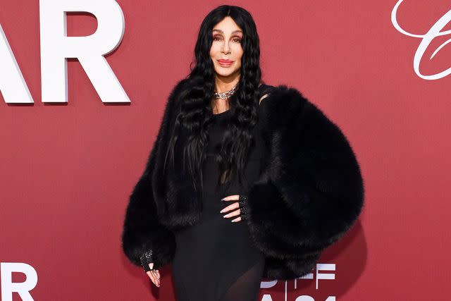 <p>Michael Buckner/Variety via Getty</p> Cher wowed performing at the amfAR gala