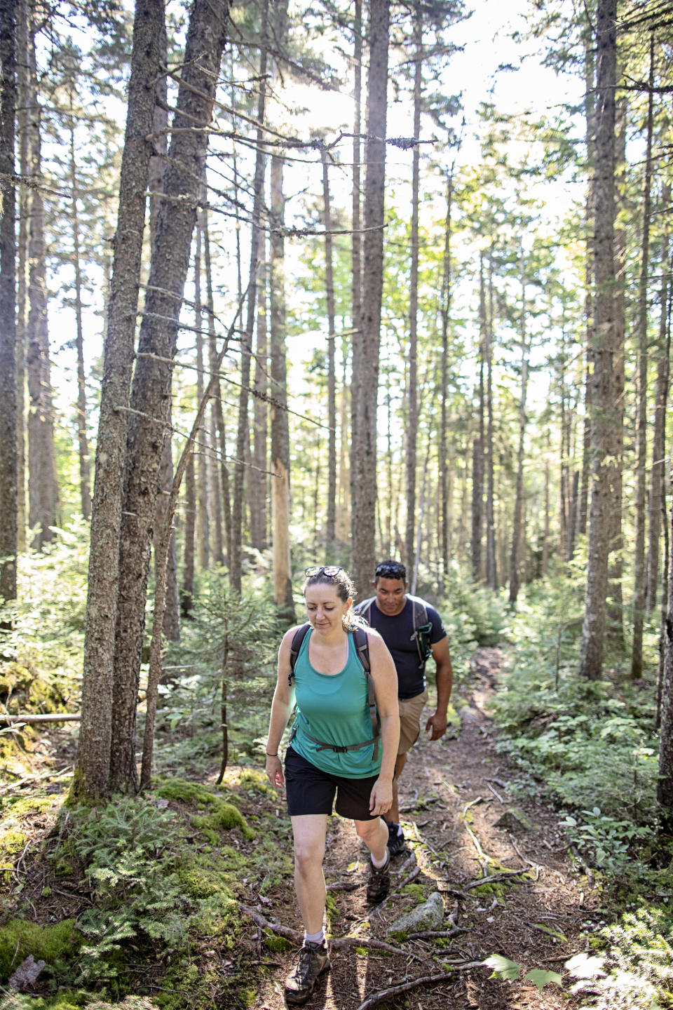 Two people wearing hiking boots walk through a sunny Appalachian trail.
