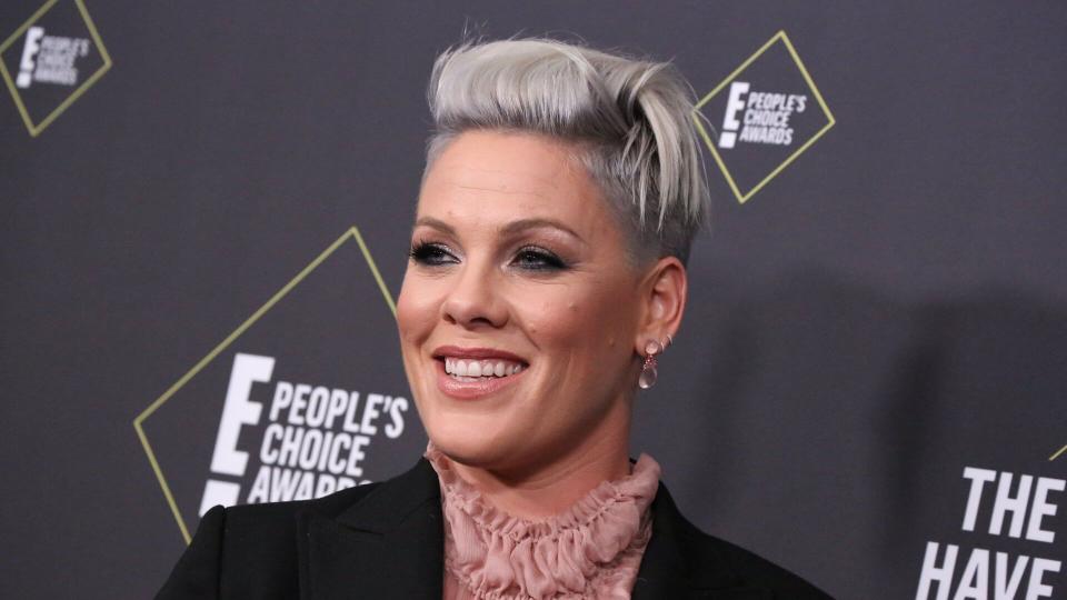 Mandatory Credit: Photo by Matt Baron/Shutterstock (10471294bs)Pink45th Annual People's Choice Awards, Press Room, Barker Hanger, Los Angeles, USA - 10 Nov 2019.