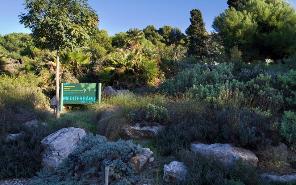 Jardí Botànic, Barcelona