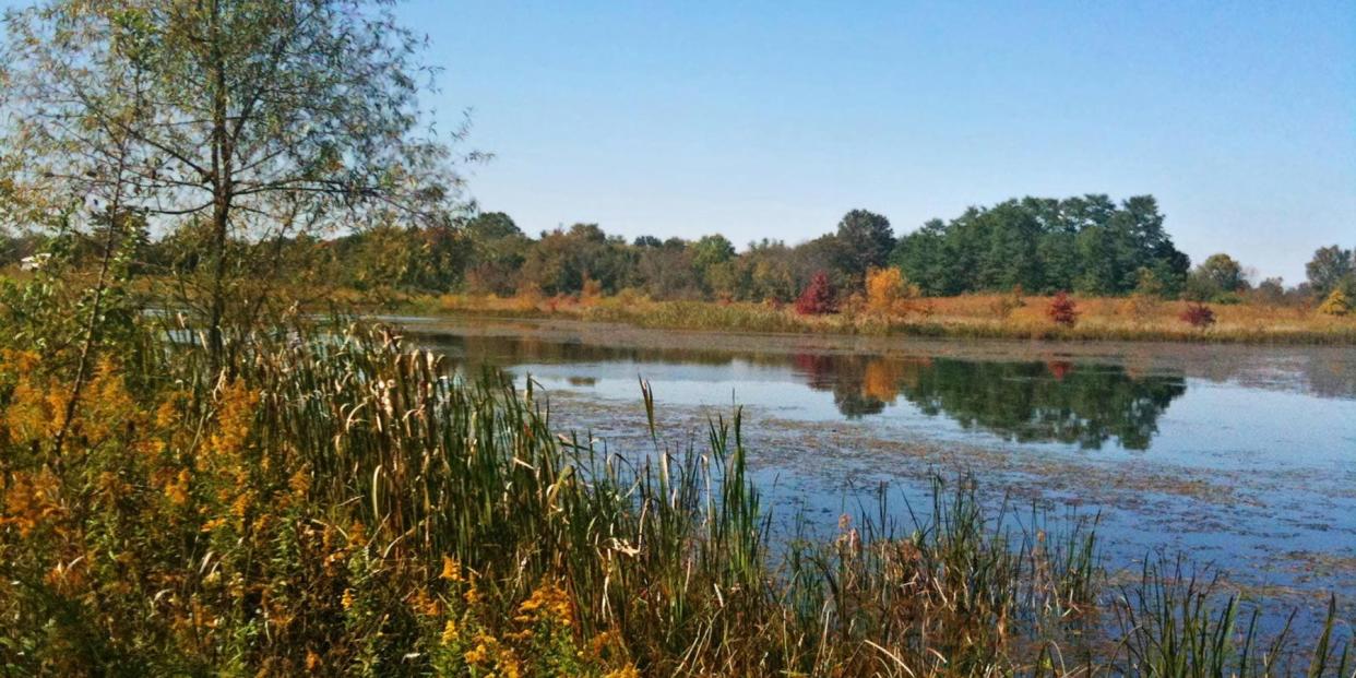 An image of Rocky Fork Metro Park in Westerville