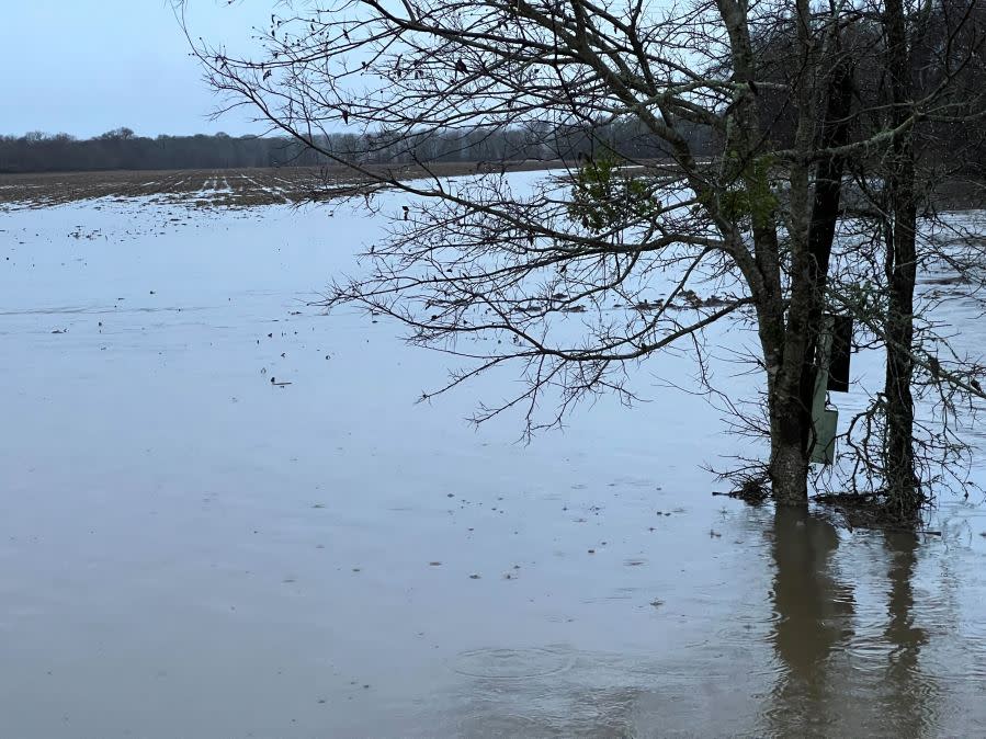 Flooding along FM 155 in Fayette County Wednesday, Jan. 24, 2024. (KXAN Photo/Todd Bailey)