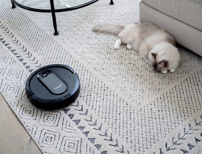 shark robot vacuum on a carpet