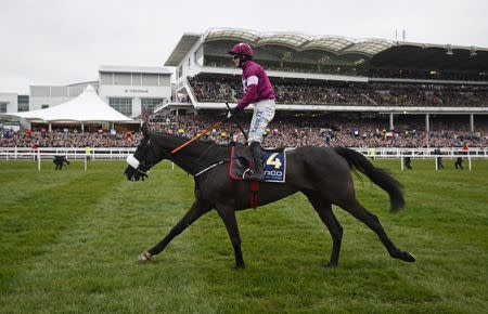 Horse Racing - Cheltenham Festival - Cheltenham Racecourse - 18/3/16 Bryan Cooper on Don Cossack celebrates winning the 3.30 Timico Cheltenham Gold Cup Chase Reuters / Dylan Martinez Livepic