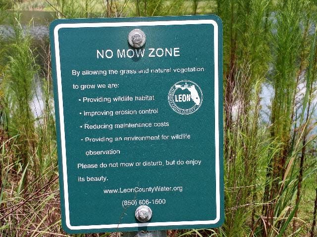 Signage at Pedrick Pond explains the benefits of natural vegetation along the shoreline.