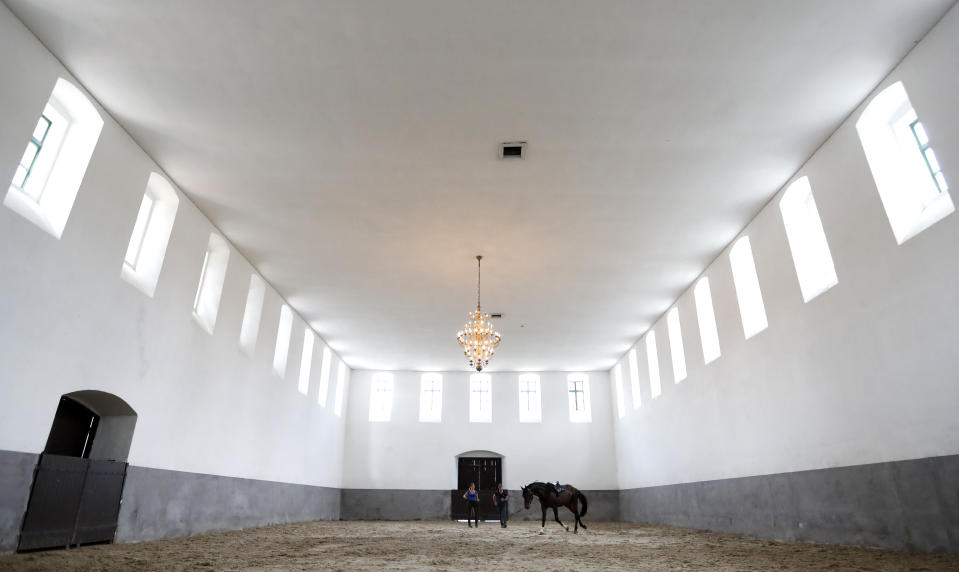 In this photo taken on Thursday, July 11, 2019, a horse is led in a riding hall at a stud farm in Kladruby nad Labem, Czech Republic. UNESCO this month added a Czech stud farm to its World Heritage List, acknowledging the significance of a horse breeding and training tradition that has survived centuries. Founded 440 years ago to breed and train ceremonial horses to serve at the emperor’s court, the National stud farm and its surrounding landscape have kept its original purpose since. (AP Photo/Petr David Josek)