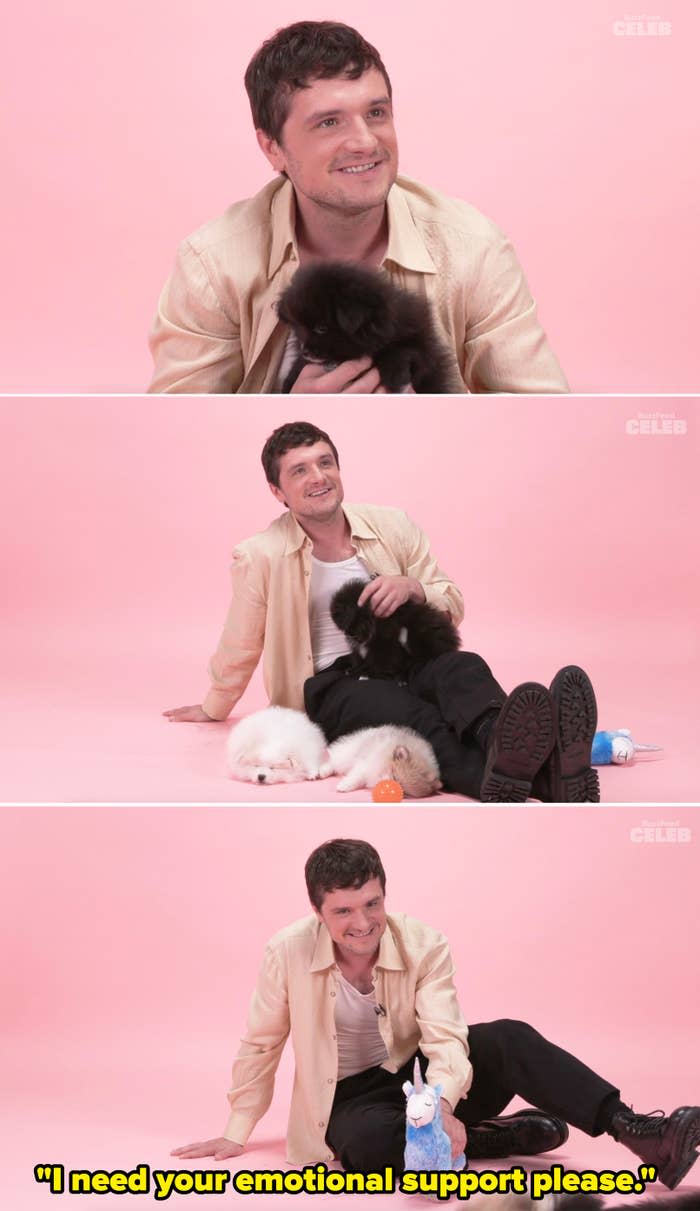 josh telling a puppy,  i need your emotional support please
