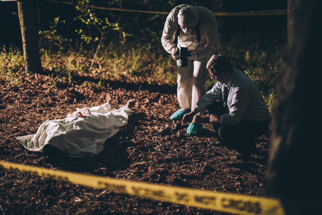 Investigation of a crime scene, that happened in the forest.