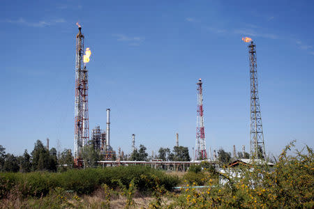 A view shows part of the state oil firm Petroleos Mexicanos (Pemex) refinery in Salamanca, in Guanajuato state, Mexico January 8, 2019. REUTERS/Daniel Becerril