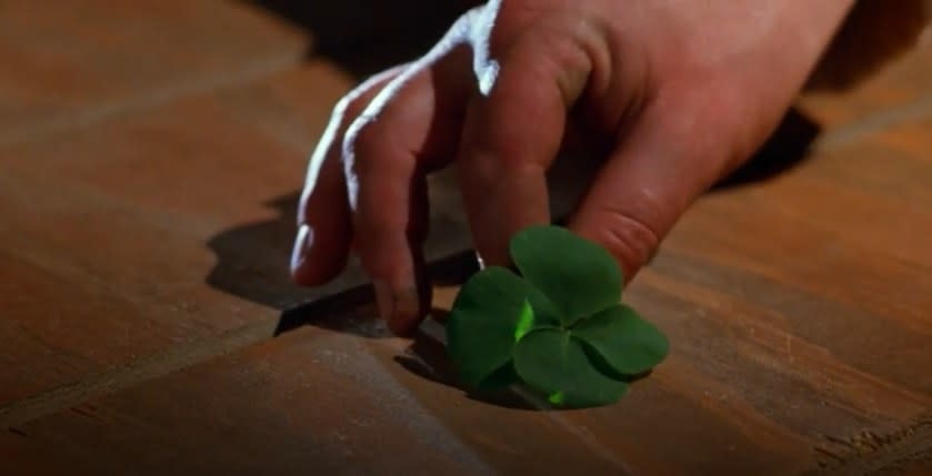 A man places a four-leaf clover on a box