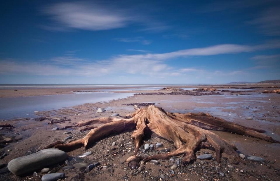 <p>The Photolibrary Wales/Alamy Stock Photo</p>