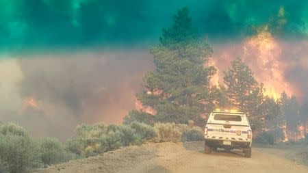 FILE PHOTO: Flames rise from a treeline near an emergency vehicle during efforts to contain the Spring Creek Fire in Costilla County, Colorado, U.S. June 27, 2018. Costilla County Sheriff's Office/Handout via REUTERS/File Photo