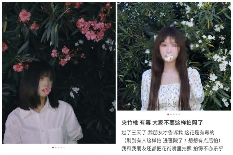 ▲小紅書上曾掀起一波「嘴咬鮮花」拍照的風潮，因此有不少人也因誤食而中毒，事後也紛紛發文提醒民眾需要小心。（圖／翻攝自小紅書）