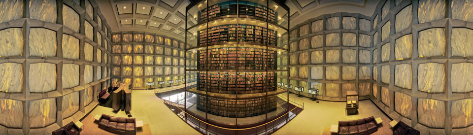 Thomas R. Schiff,&nbsp;Beinecke Rare Book and Manuscript Library, Yale University, New Haven, Connecticut,&nbsp;from The Library Book (Aperture, 2017)