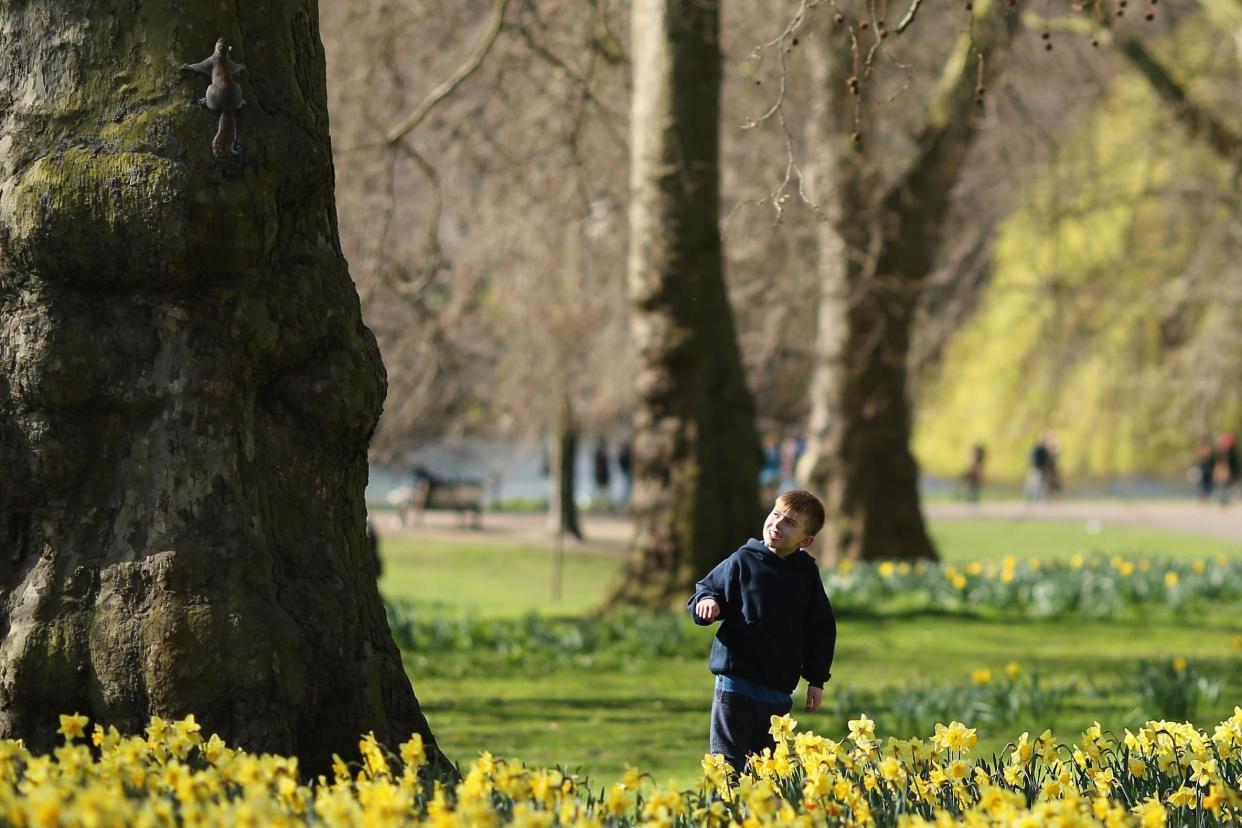 Wandsworth: Tree climbing and kite flying could fall foul of the new rules: Getty Images